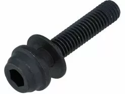 Shimano Befestigungsschraube HR Typ C2 Für Flat Mount BR-R8170 / BR-R7170